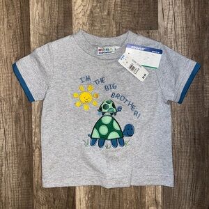 Miniwear Gray 'I'm the Big Brother' T-Shirt